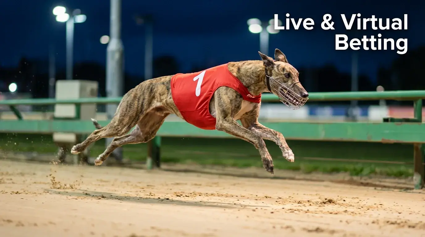 Guide to live and virtual greyhound betting online covering platforms, markets, and strategy
